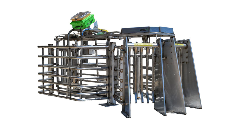 Sorter+photoroom Photoroom